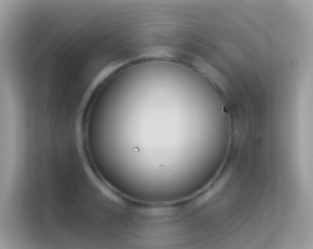 X0000114240989200910091505