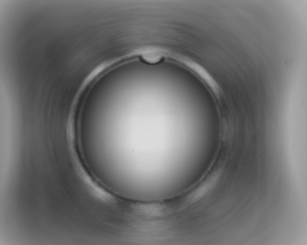 X0000114240999200910091505