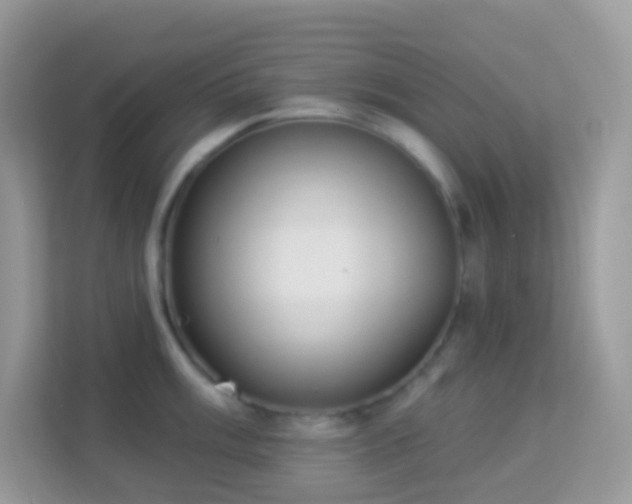 X0000114241003200910091505