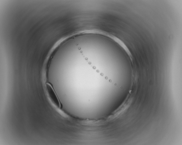 X0000114241005200910091505