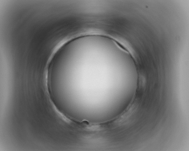 X0000114241006200910091505