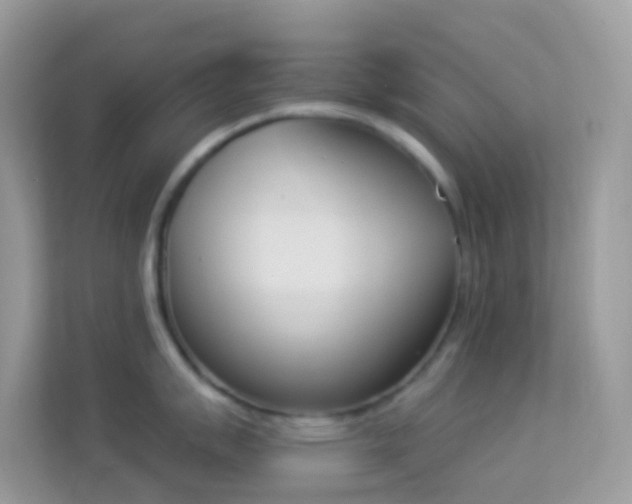 X0000114241007200910091505