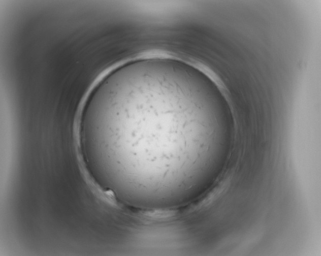 X0000114241008200910091505