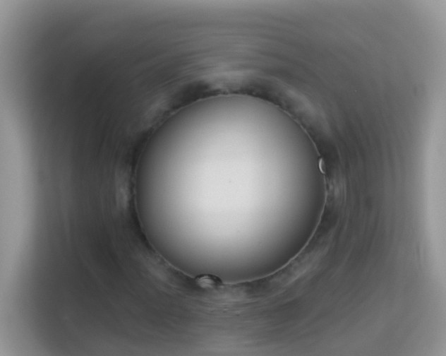 X0000114241012200910091504