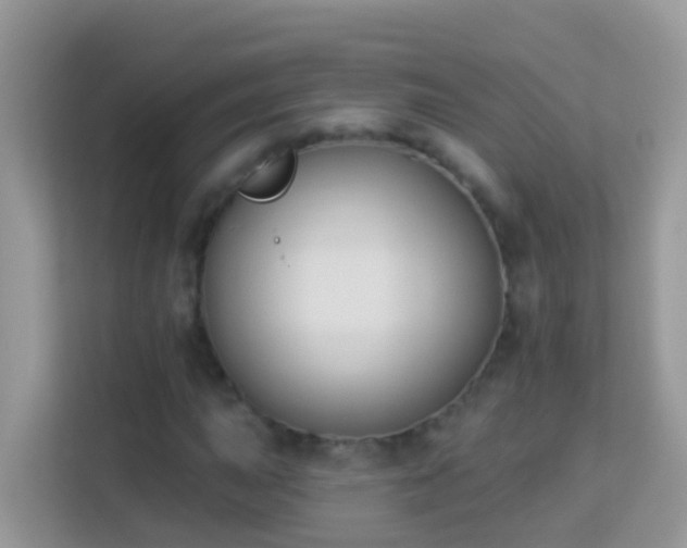 X0000114241015200910091504