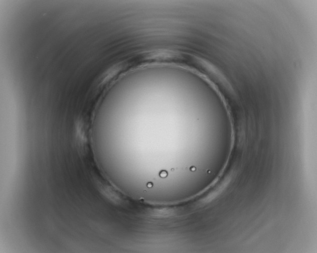 X0000114241017200910091504