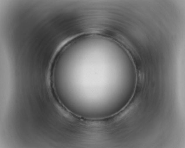 X0000114241020200910091504