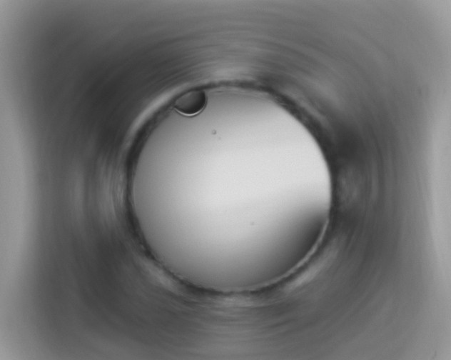 X0000114241021200910091504