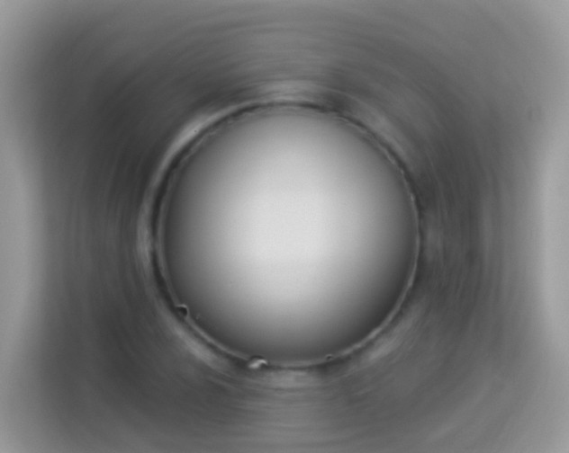 X0000114241024200910091504
