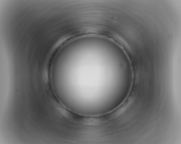 X0000114241027200910091504