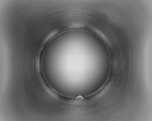 X0000114241034200910091504