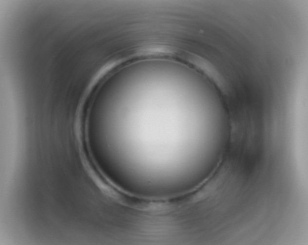X0000114241038200910091504