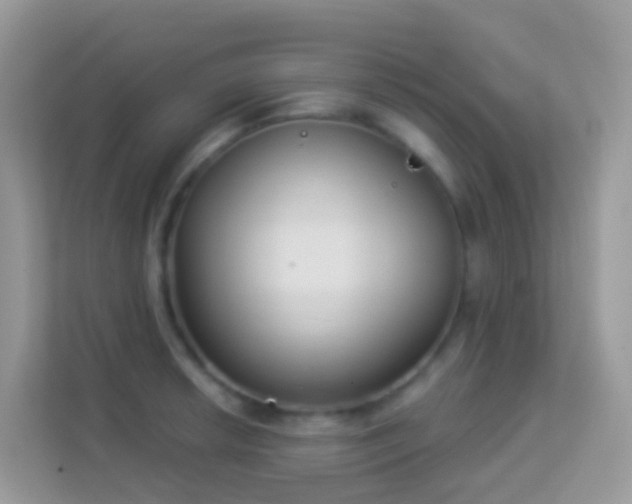 X0000114241042200910091505