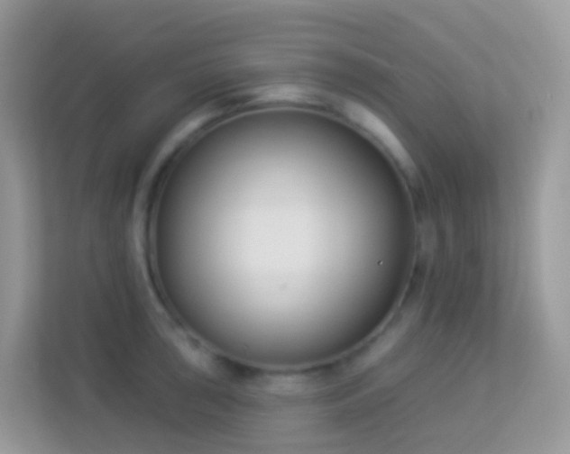 X0000114241043200910091505