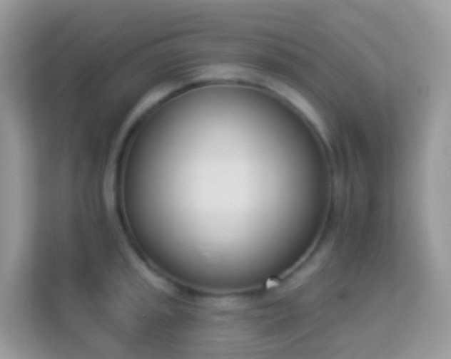X0000114241045200910091505