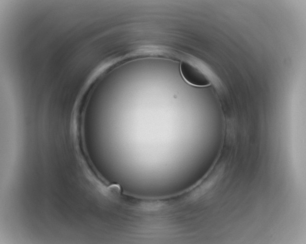 X0000114241046200910091505