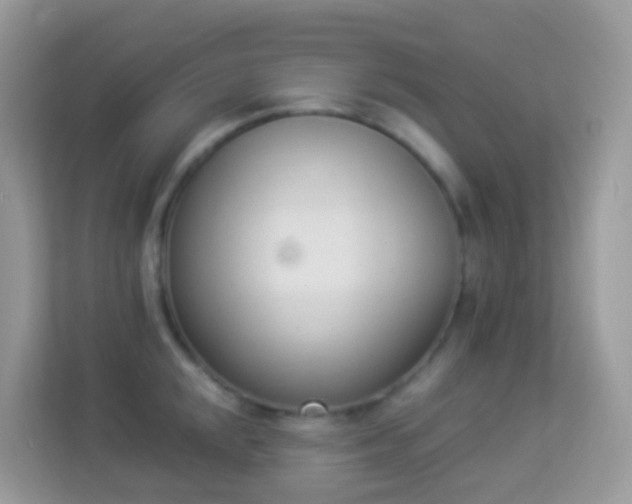 X0000114241048200910091505
