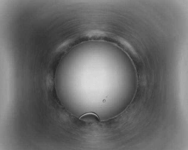 X0000114241063200910091504