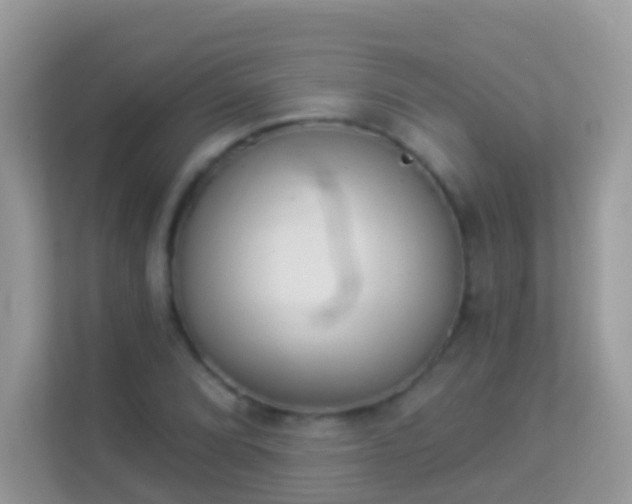 X0000114241072200910091504