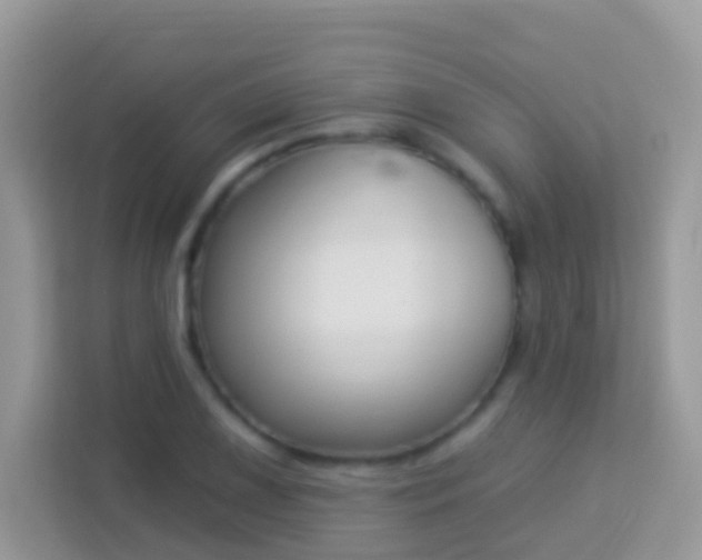 X0000114241075200910091504