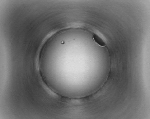 X0000114241080200910091504