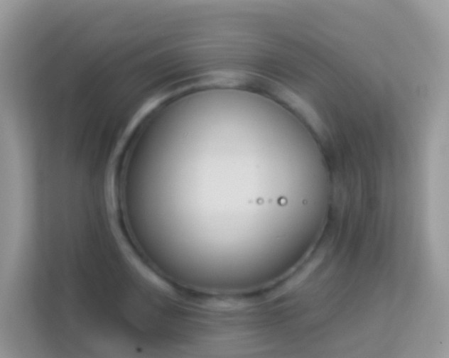 X0000114241083200910091504