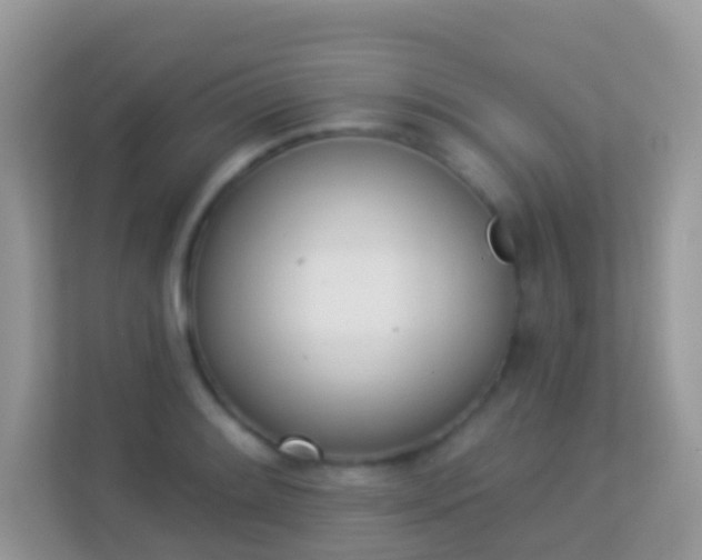 X0000114241084200910091504