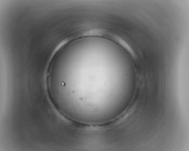 X0000114241087200910091504