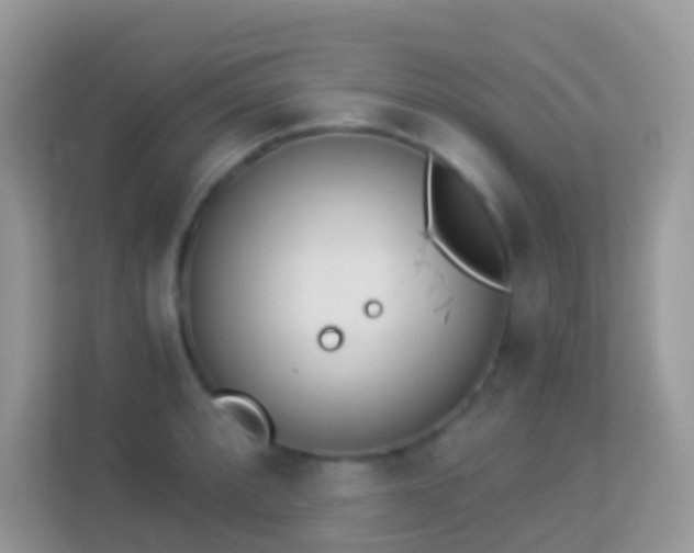 X0000114241088200910091504