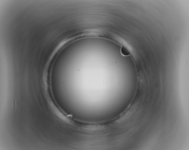 X0000114241091200910091504