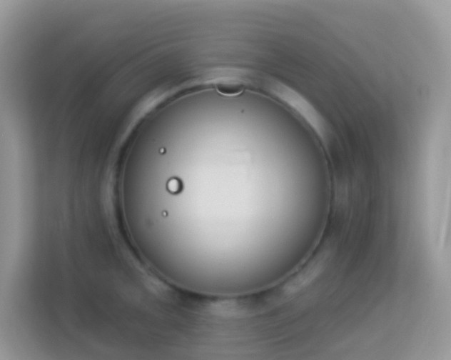 X0000114241093200910091504