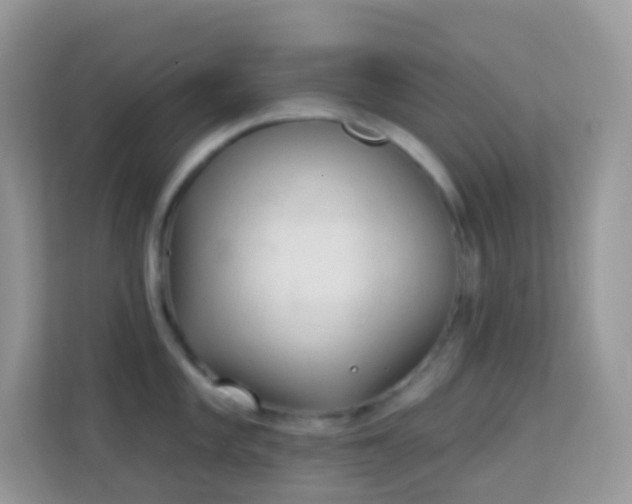 X0000114241101200910091504