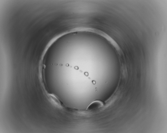 X0000114241102200910091504
