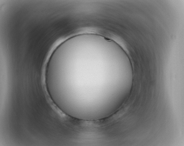 X0000114241104200910091503