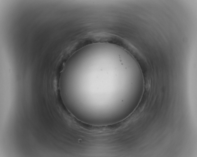 X0000114241108200910091503