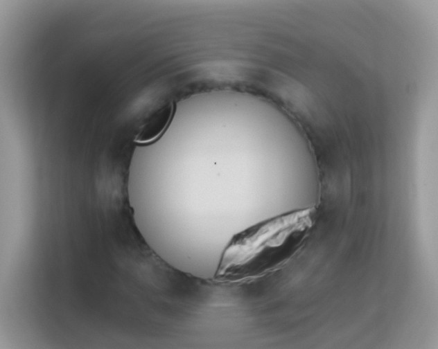 X0000114241110200910091503