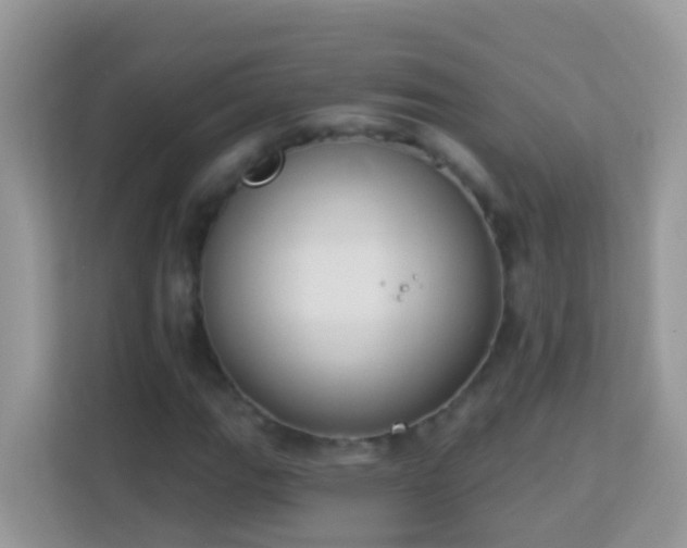 X0000114241111200910091503