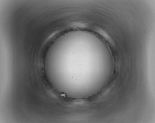 X0000114241112200910091503