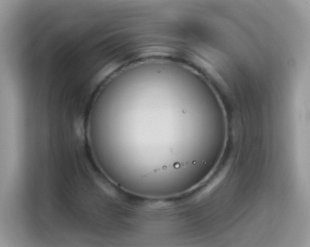 X0000114241113200910091503