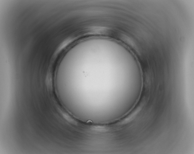 X0000114241114200910091503
