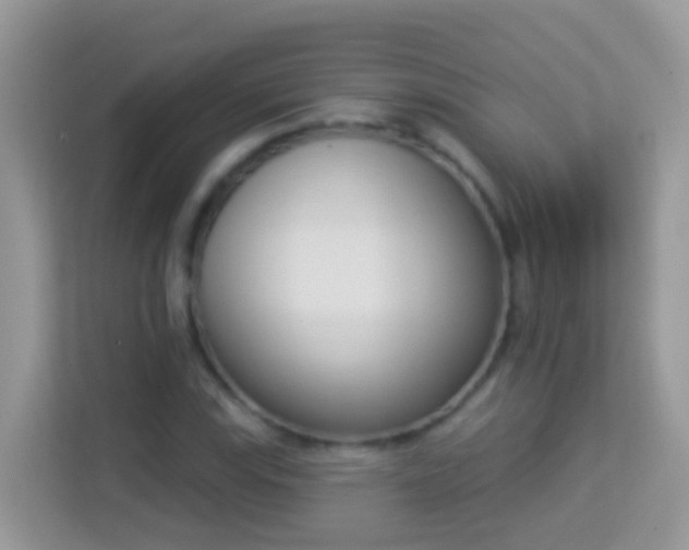 X0000114241115200910091503