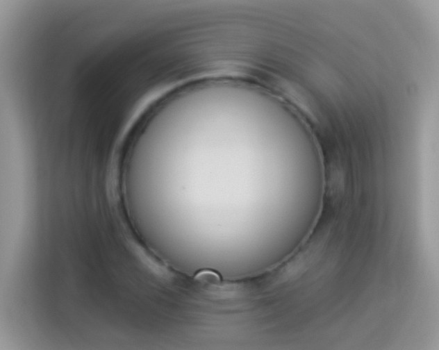 X0000114241116200910091503
