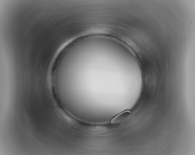 X0000114241119200910091503