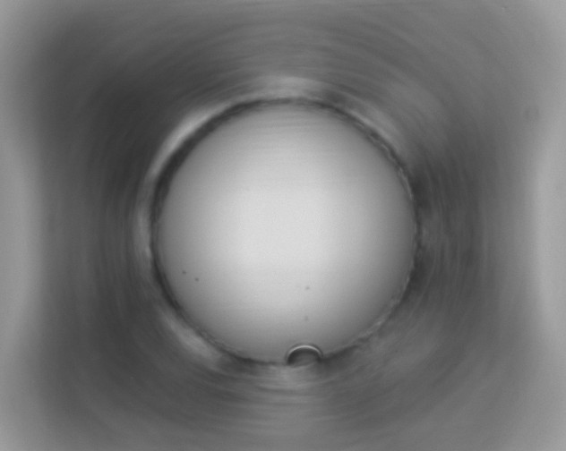 X0000114241120200910091503