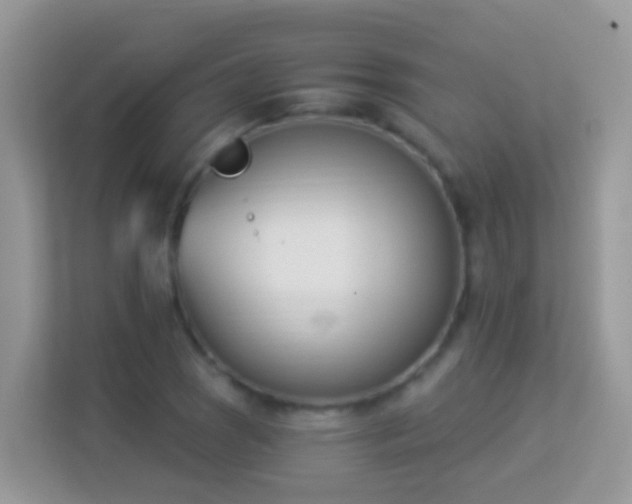 X0000114241121200910091503