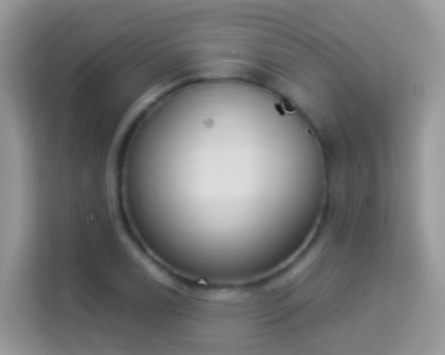 X0000114241122200910091503