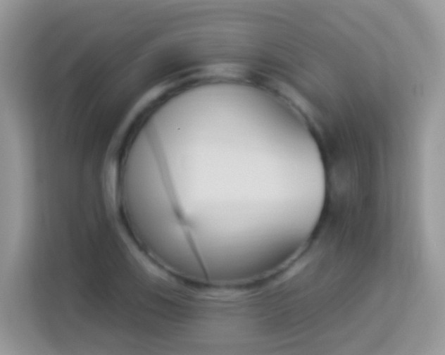 X0000114241123200910091503