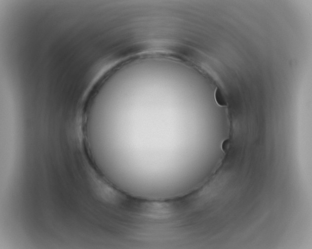 X0000114241124200910091503