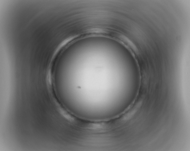 X0000114241125200910091503