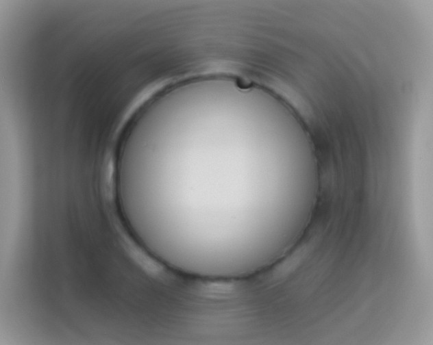 X0000114241126200910091503